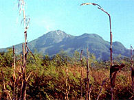 Foto: Clavel/Global Volcanism Program/Reprodução